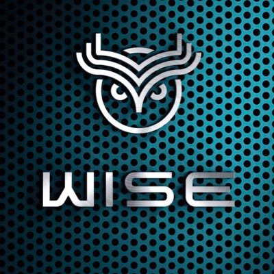 Why You Should Invest in WISE Tokens